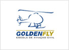 Golden Fly